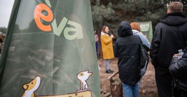 "Запали зірку тепла": українські знаменитості долучились до зимової кампанії допомоги тваринам