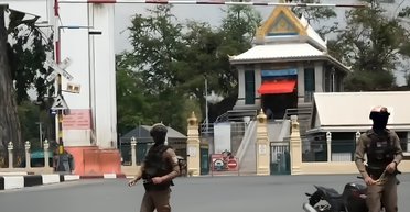 У Таїланді "війна" з мавпами: поліцейські полюють на тварин із рогатками (фото, відео)