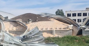 Предназначались для Африки и Китая: в Измаиле РФ повредила почти 40 тысяч тонн зерна (фото)