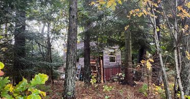 Мужчина построил за $13 тысяч хижину в лесу: внутри там еще красивее, чем снаружи (фото)