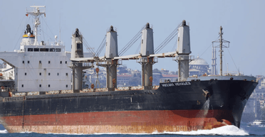 Египет впервые купил украденную в Украине пшеницу: РФ доставила зерна на $7 млн, — расследование