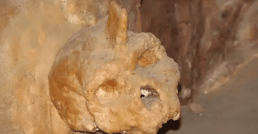 Таємниця печери Петралона: археологи наблизилися до розгадки дивного черепа (фото)