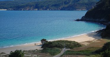 Их в мире всего 21: на испанской пляж выбросило 10-метрового гигантского кальмара (фото)