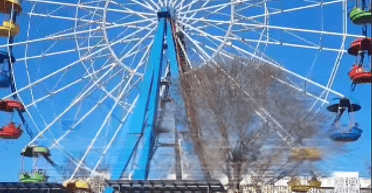 Парализовал жизнь города: в Улан-Удэ один грызун стал причиной исчезновения света (фото)