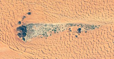 Город-оазис скрывается в тени "верблюжьего горба": его удалось запечатлеть из космоса (фото)