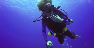 Грабеж в ластах: неизвестный в гидрокостюме обокрал ресторан на тысячи долларов (видео)