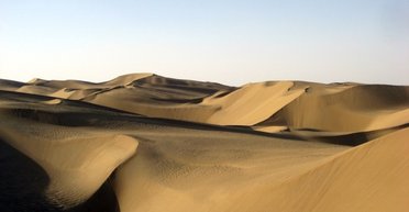 Одну и самых засушливых пустынь мира превратили в поглотитель углерода: как это удалось Китаю