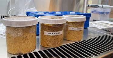 Учені відправили боби на орбіту і приготували японську страву: ось яка вона на смак (фото)