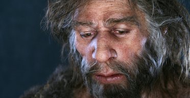 Ученые выяснили, что неандертальцы могли разговаривать не хуже Homo sapiens
