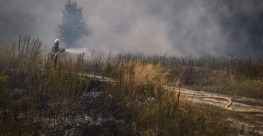 В Чернобыльской зоне вспыхнул масштабный пожар: на Киевщине замеряют радиационный фон