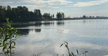 Загрязненная вода из Десны добралась до Киевской области, — Госводагентство (видео)