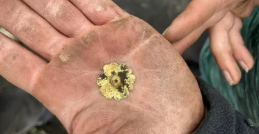 Искали дом и нашли золото: что дали раскопки Оклендского замка (фото)