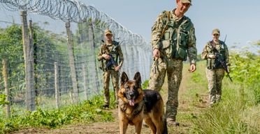 Перелезал через забор: на границе Одесской области и Молдовы застрелили мужчину, – СМИ