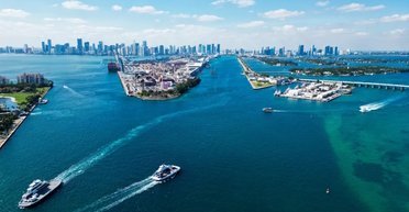 1000 днів під водою: найдовша підводна зйомка у світі розкриває таємницю зникаючого виду (відео)