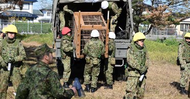Минобороны Японии отправляет войска на север страны: солдаты будут противостоять медведям
