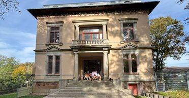 Елітний будинок у Німеччині "окупували" коти: вони 30 років живуть там самі (фото)