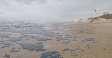 Экологическая катастрофа: танкеры РФ затонули в местах зимовки дельфинов в Черном море (видео)