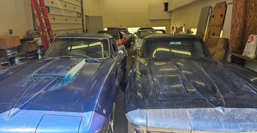 На аукцион выставили заброшенную коллекцию культовых американских спорткаров (фото, видео)