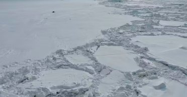 Новое место битвы: Антарктида тает и открывает огромные запасы золота, серебра и платины
