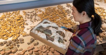 Считали строительным мусором: археологи спасли римские фрески возрастом 2000 лет (фото)