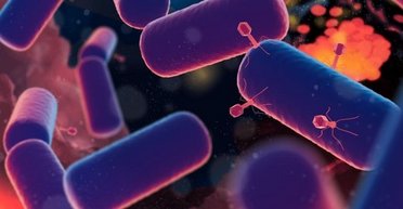 Сюрприз для вчених: перший живий організм на Землі виник незабаром після народження планети