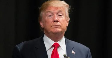 В Белом доме объяснили, почему Трамп ввел пошлины для пингвинов, — CNN