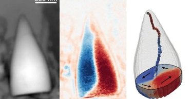 На дне океана нашли окаменелости со встроенным GPS: их оставило неизвестное существо