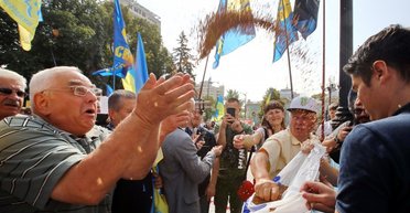 Выборы без гречки. Как активисты под Радой требовали отменить мажоритарку