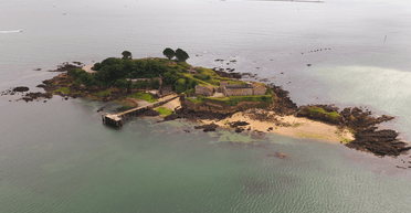 "Щось особливе": острів із приватним пляжем виставили на продаж, але є нюанс (фото)