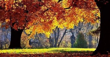 Різке похолодання, але сухо: якою буде погода до кінця тижня (карти)