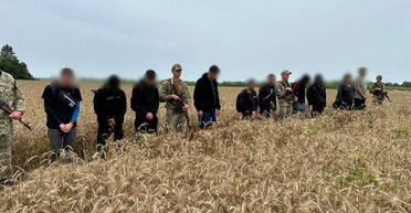 Десять уклонистов пытались прокрасться в Венгрию пшеничным полем (видео)