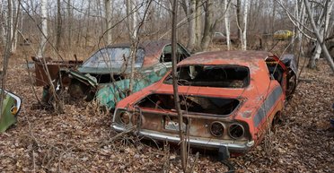 Кладбище раритетов: в США среди леса обнаружили свалку со старинными авто (видео)