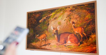 Гідний конкурент Samsung: дешевший телевізор здивував під час тестування (фото)