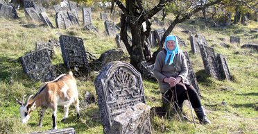 Каменный зоопарк. Что означают рисунки на еврейских кладбищах