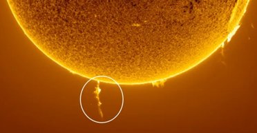 На Сонці сталося щось небачене: навколо південного полюса зірки затягнувся зашморг (фото)
