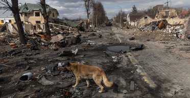 Бунт в Ковеле, скандал в Ровно: как "Слава Украине" стало прикрытием для ловкости руки