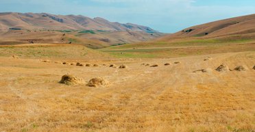 Війна за воду. Річки Ферганської долини як контрольний пакет для управління Середньою Азією