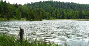 Феномен, которому нет объяснения: ученые не могут раскрыть происхождение загадочного гула (видео)