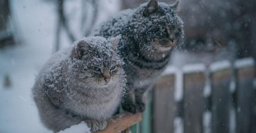 В Украину снова идут холода: где ударят морозы до -20