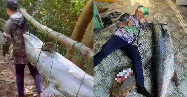 Рыбак вытащил из моря рыбу размером почти с человека: улов поразил очевидцев