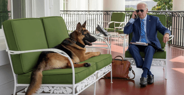 Покусала агентов Секретной службы: из Белого дома вывезли уже вторую собаку Байдена