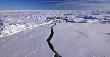 В Антарктиде нашли останки исследователя, который исчез 66 лет назад (фото)
