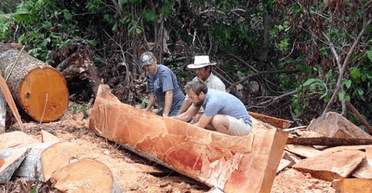 Кинув усе: чоловік після розлучення вирішив купити віддалений тропічний острів (фото)