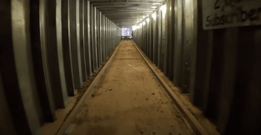 Тоннель Путина-Трампа могут возвести между РФ и США: Дмитриев призвал Маска реализовать проект