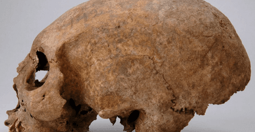 Слишком длинные черепа: ученые нашли странные останки женщин-викингов (фото)