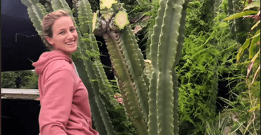 Американка змогла заробити тисячі доларів, продаючи безкоштовні кактуси (відео)