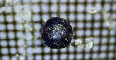 Загадкові сфери, виявлені в океані: відомо, чи мають вони стосунок до інопланетян (фото)