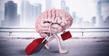 Страна двух скоростей. Как остановить экспорт умов из Украины