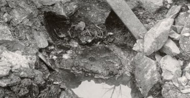 Людина з колодязя: уперше знайдено останки персонажа зі скандинавської саги (фото)