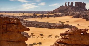 "Ад на Земле": Human Rights шокировали подробностями пребывания в тюрьме Коро Торо